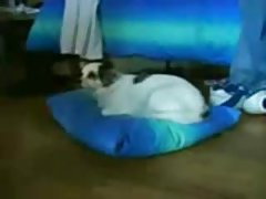 经典情色片管 一个熟悉的人舔他妈的多汁的屁股棕发在休闲